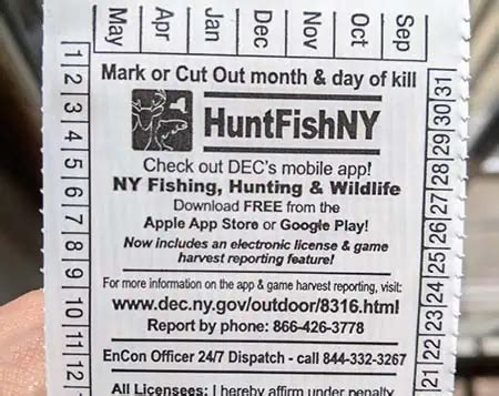 free saltwater fishing license ny.
